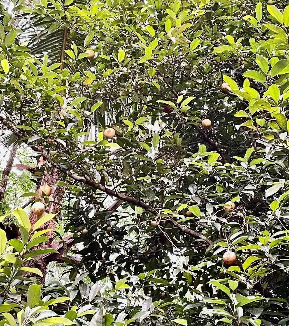 Villa Abu Sulthan Kumudi